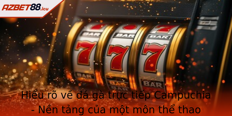 Hiểu rõ về đá gà trực tiếp Campuchia - Nền tảng của một môn thể thao truyền thống đậm đà bản sắc