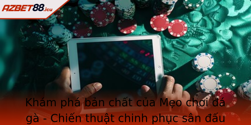 Kham Pha Ban Chat Cua Strongmeo Choi A Gastrong Chien Thuat Chinh Phuc San Au
